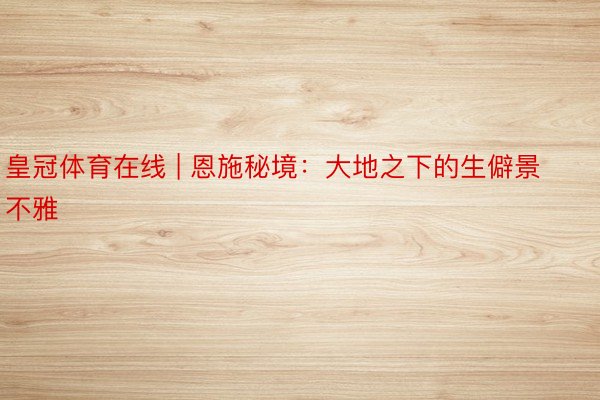 皇冠体育在线 | 恩施秘境：大地之下的生僻景不雅